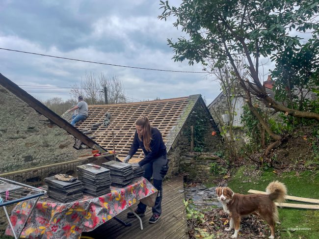 surelevation la roussiere gogane arhcitecture